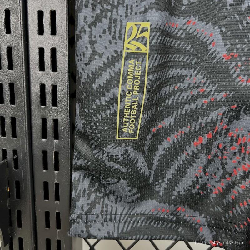 2025/26 PSG Paris Saint-Germain (CAMPEONES DE EUROPA) Grey Jersey