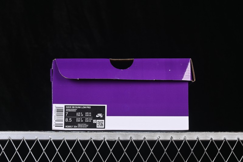Nike SB Dunk Low Skateboarding Shoes with Cushioned Collar - BQ6817-204